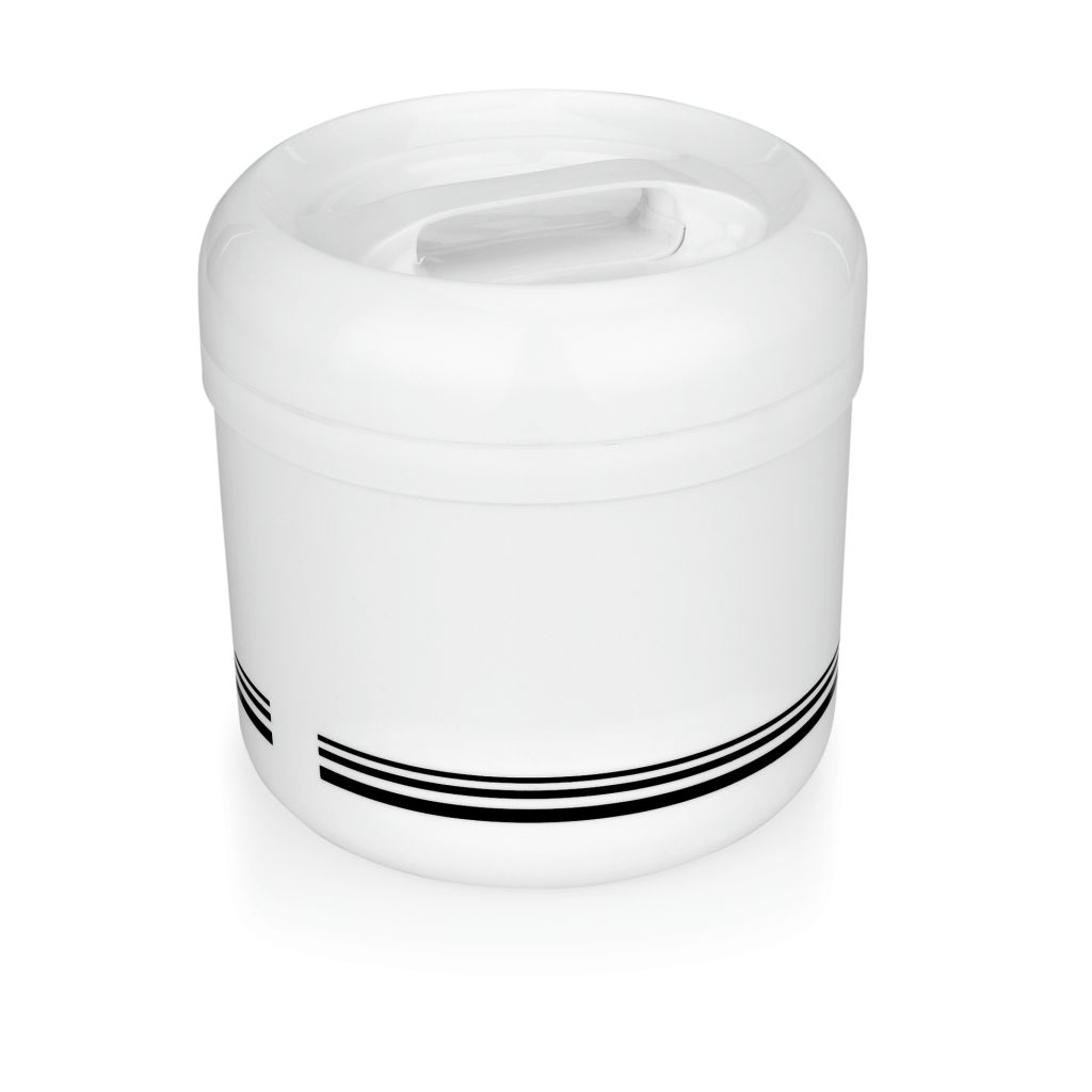 Eisbehälter, mit Einsatz